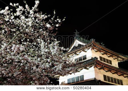 Light Up Of Hirosaki Castle And Cherry Blossoms