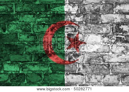 Algeria flag on wall