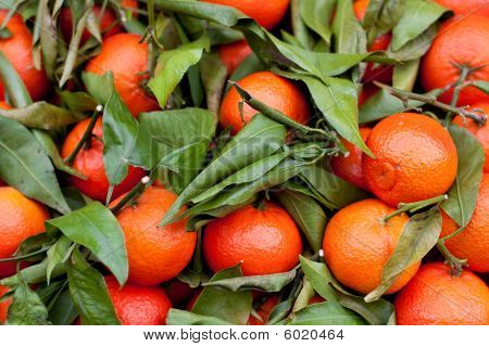 桔子和叶子的混合