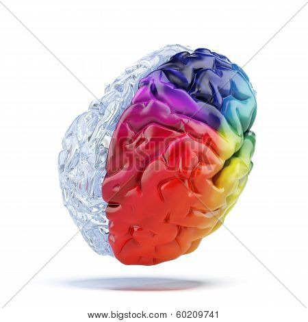 Colored brain
