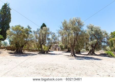 Monastery (friary) In Messara Valley At Crete Island In Greece. Messara - Is  Largest Plain In Crete