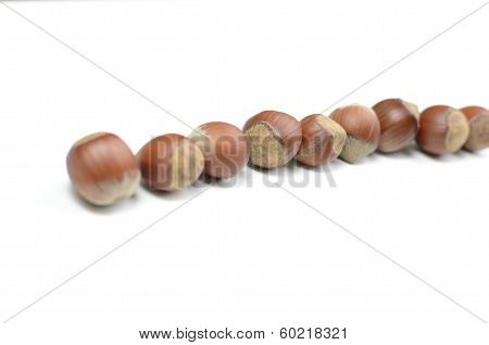 hazelnuts