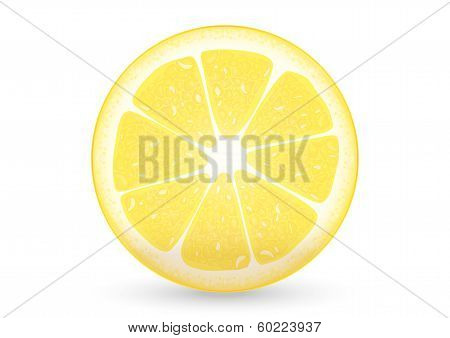 Sliced Lemon