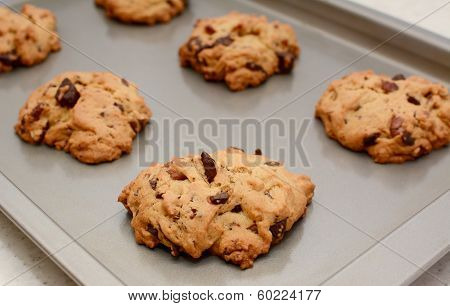 Freshly Baked Chocolate Chunk And Pecan Nut Cookies