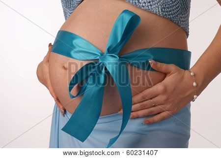 Human Pregnancy.