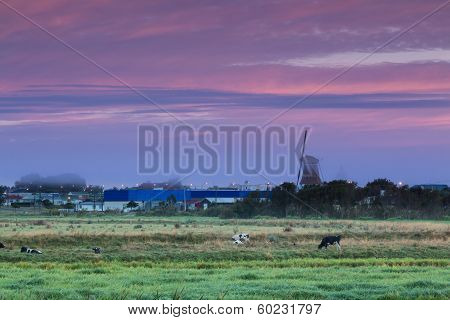 Windmill Landscape