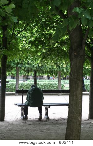 Dormire nel parco