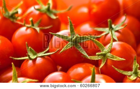 Freshly Picked Cherry Tomatoes
