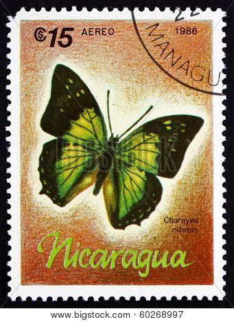 Postage Stamp Nicaragua 1986 Charaxes Nitebis, Butterfly