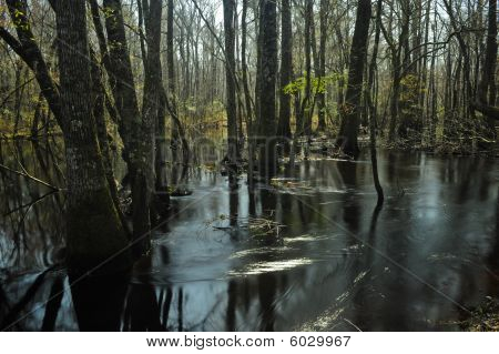 Río de Little Pee Dee