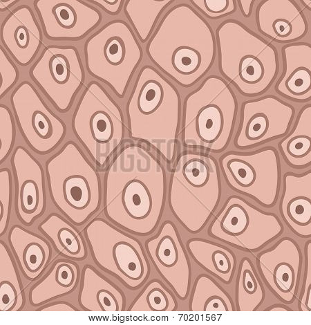 pattern of the skin