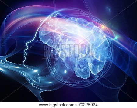 Investigation On The Mind