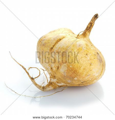 Fresh Jicama
