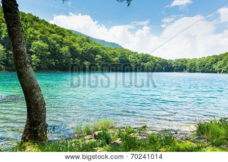 Biograd lake, Montenegro