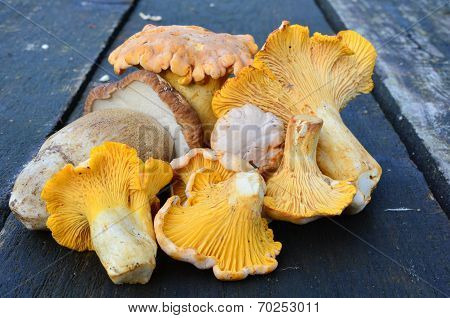 Mushrooms On The Table
