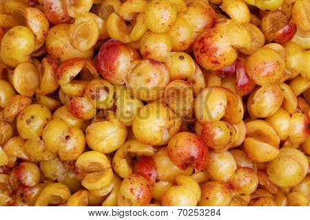 Mirabelles - Freshly Cored