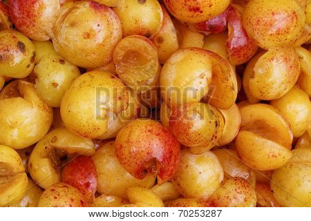 Mirabelles - Cut open and Cored