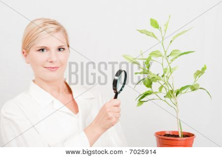 mladá žena vědec botanické se stromečkem