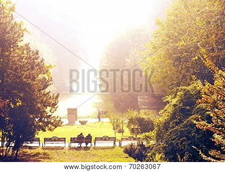Morning in the park