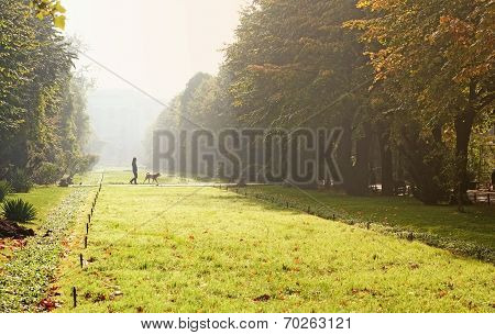 Walking the dog in autumn park