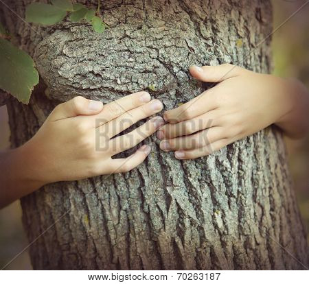 Hugging a tree