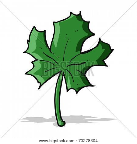 cartoon red maple leaf
