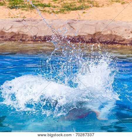 Big Splash
