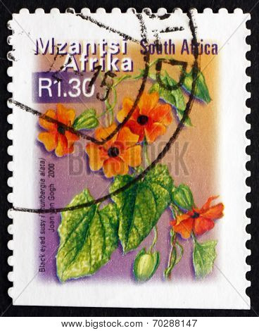 Postage Stamp South Africa 2000 Black Eyed Susy, Flowering Plant