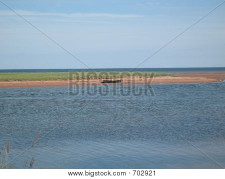 Dorie w środku