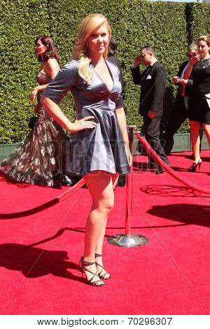 LOS ANGELES - AUG 16:  Amy Schumer at the 2014 Creative Emmy Awards - Arrivals at Nokia Theater on August 16, 2014 in Los Angeles, CA