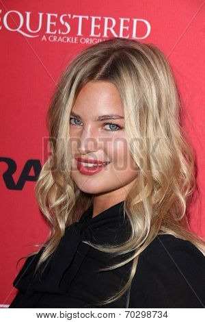 LOS ANGELES - AUG 14:  Jennifer Akerman at the Crackle Presents the Premieres of 