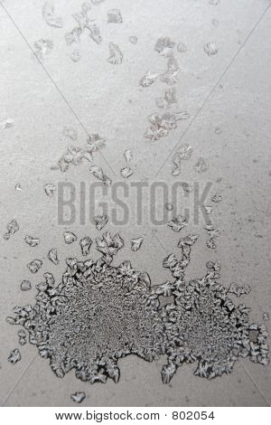 Frost kukkia