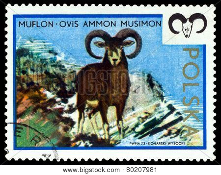 Vintage  Postage Stamp. Moufflon.