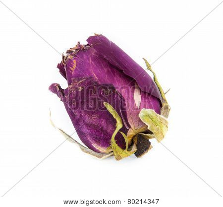 Withered Roses On White Background