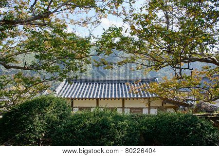 Tiled Roof With Crape Mytle Tree