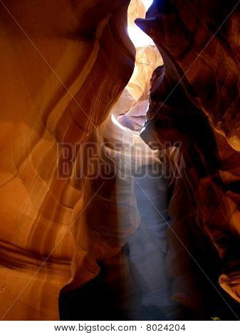 die Schönheit der Natur