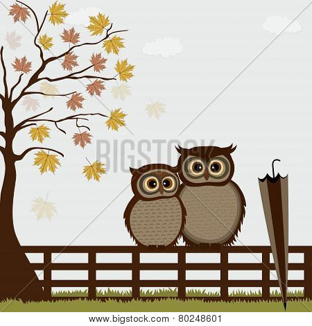Cute Owls On A Fence In Autumn