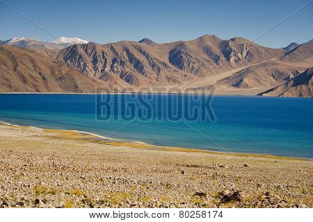 Pangong Lake Leh Ladakh ,India