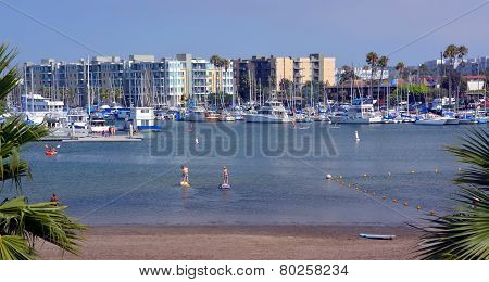 Paddle Boarders At Marina Del Rey, Los Angeles, Usa.