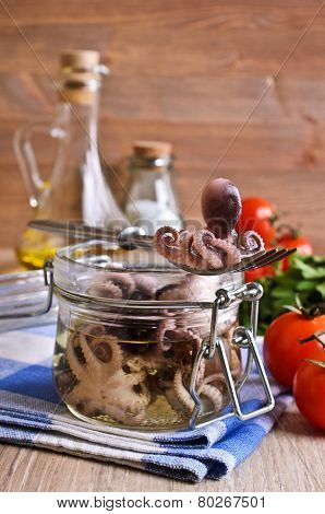 Preserves Small Octopus