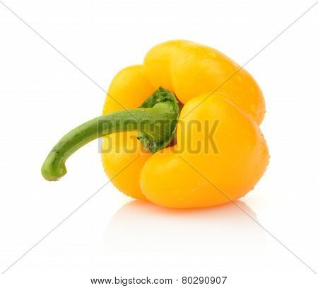 Single Wet Yellow Pepper Close-up View Isolated