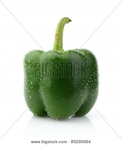 Single Wet Green Pepper Close-up Isolated White