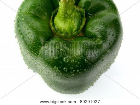 Single Green Pepper Close-up View From Top Isolated