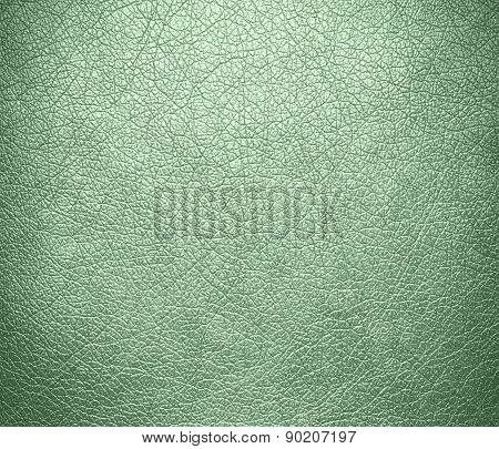 Celadon color leather texture background