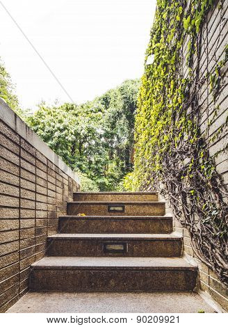 Stairs to Garden