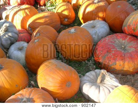 Calabazas
