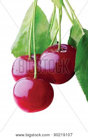 Cherry