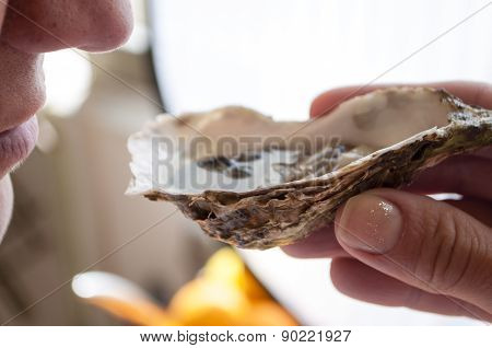 oysters