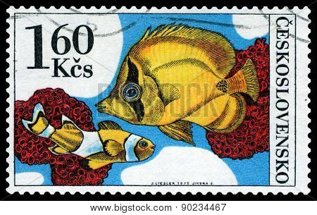 Vintage  Postage Stamp. Amphiprion Percula.