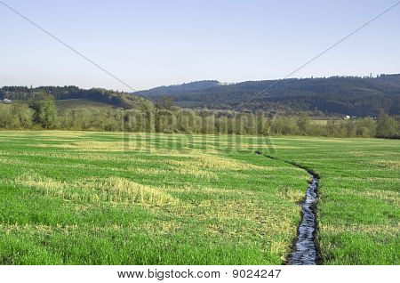 Smal Stream